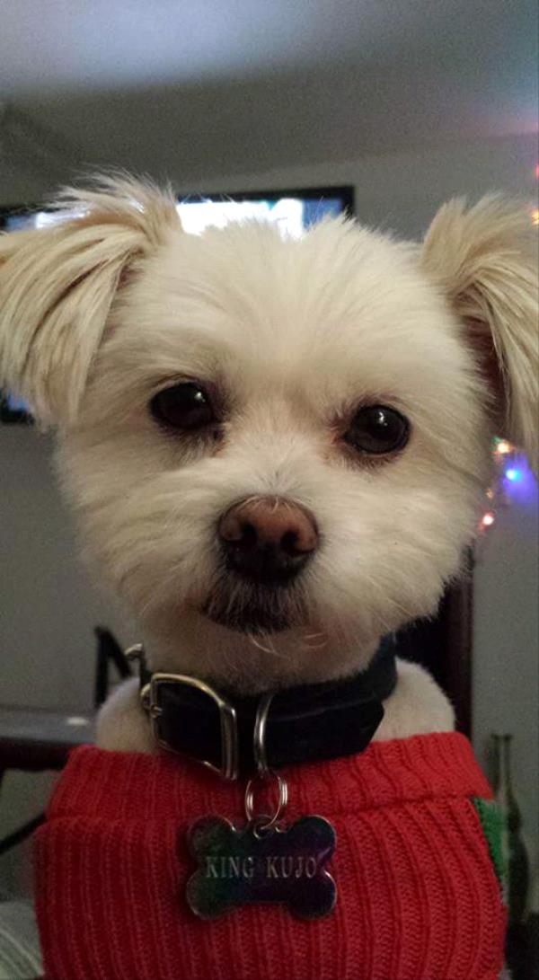 /Images/uploads/Humane Society of Utah/HSUCalendar/entries/1553thumb.jpg